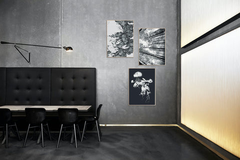 AFFICHE Jellyfish light