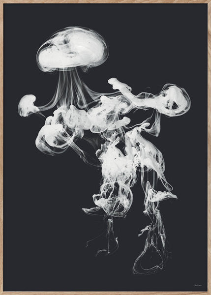 AFFICHE Jellyfish light