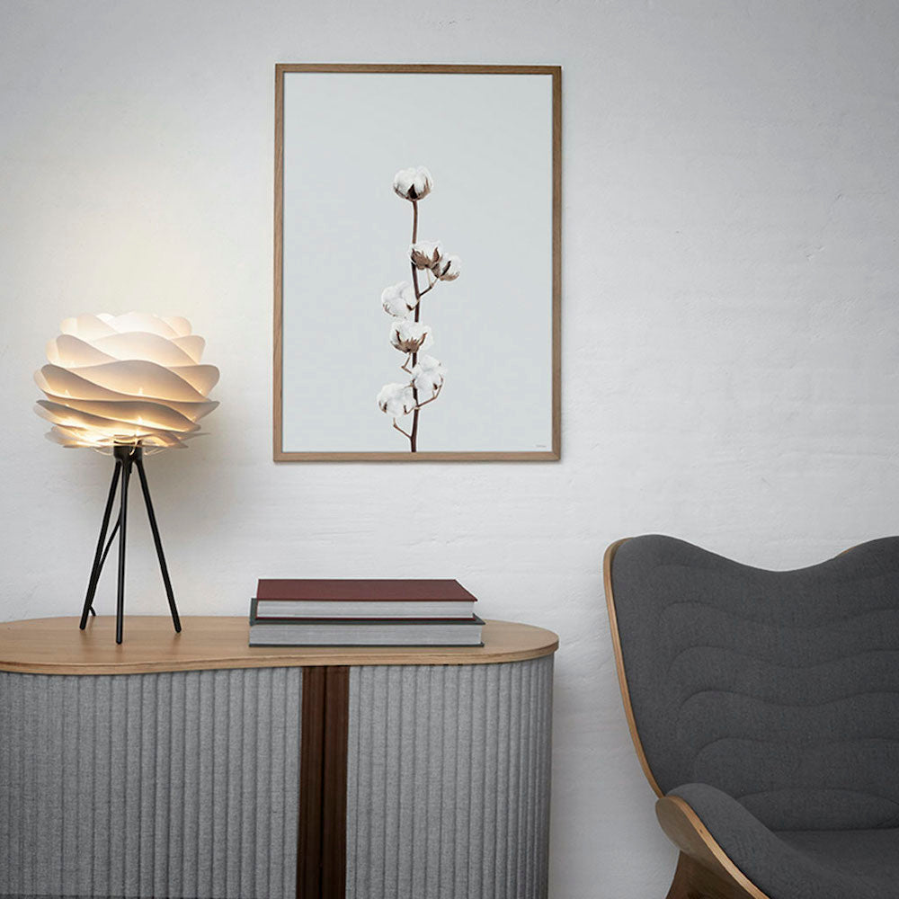 AFFICHE Cotton flower
