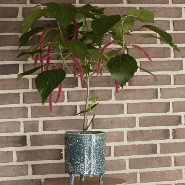 BLUMENÜBERTOPF 2er Set Grün