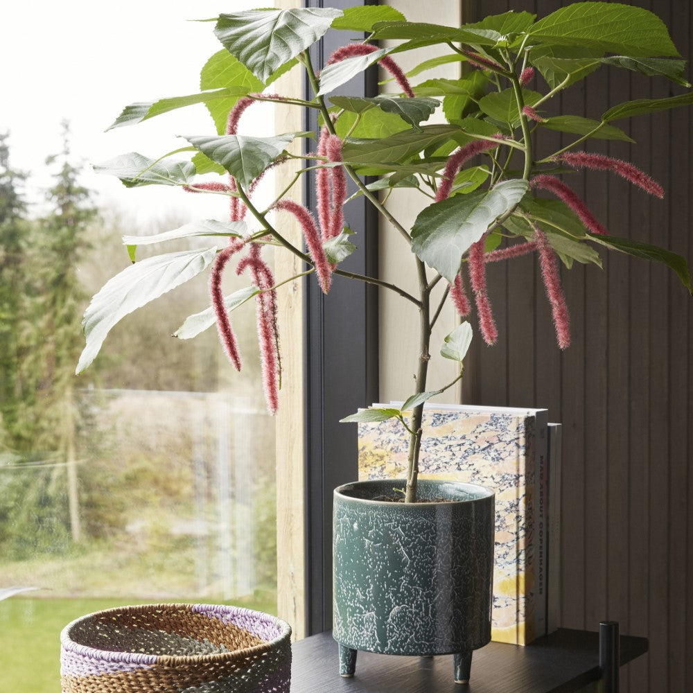 BLUMENÜBERTOPF 2er Set Grün