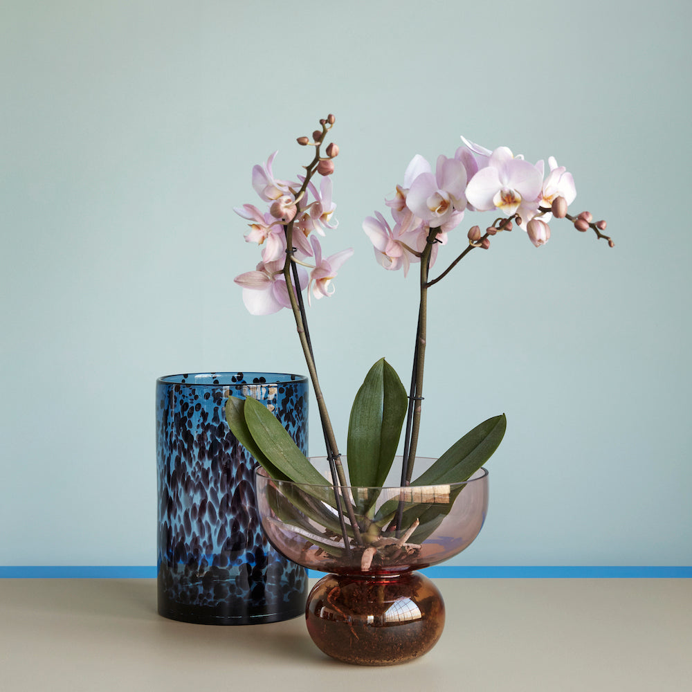 VASE  Rosa/Bernstein