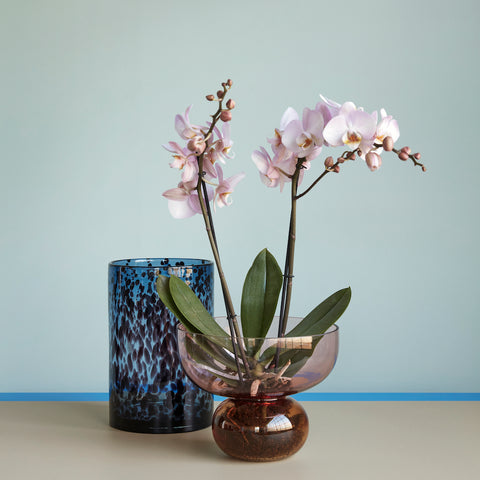 VASE  Rosa/Bernstein