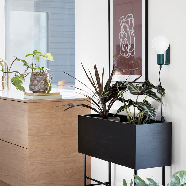 WALL LAMP Green