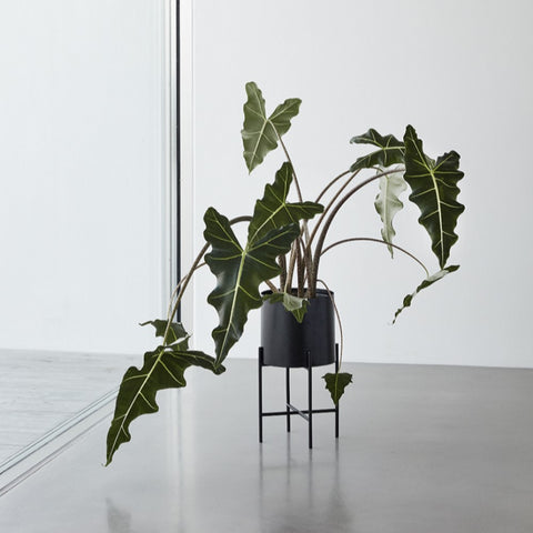 BLUMENÜBERTOPF m. BEINEN