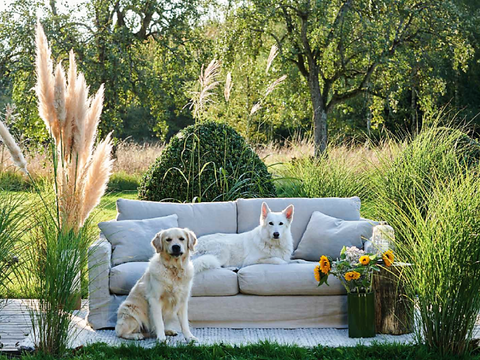 Leinen Sofa Biscarrosse New Lin in Beige mit zwei Hunden – Sofa Bio mit abziehbarem, waschbarem Bezug aus nachhaltigem Leinenstoff
